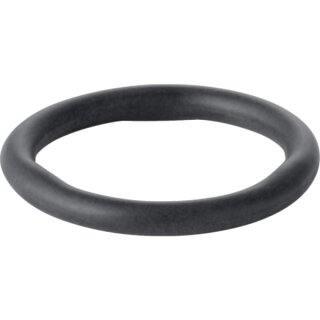 Geberit 90407  Mapress Dichtring CIIR schwarz