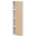 DURAVIT DS1248R3018 Hochschrank DuraStyle,240x500x1800mm,