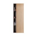 DURAVIT DS1248R3030 Hochschrank DuraStyle,240x500x1800mm,