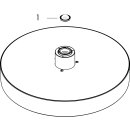 HANSGROHE 26228990 Kopfbrause Rainfinity 250 1jet