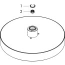 HANSGROHE 26229990 Kopfbrause Rainfinity 250 1jet