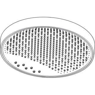 HANSGROHE 93669000 Rainfinity Kopfbrause 360 3jet