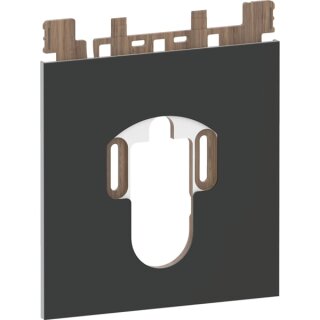 Geberit 242903SJ1 Designplatte AquaClean Sela