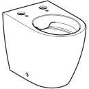 Geberit 244192111 Stand WC-Tiefsp&uuml;ler T: 56cm