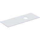 Geberit 244684001 VariForm Abdeckplatte f&uuml;r US f. AS-WT